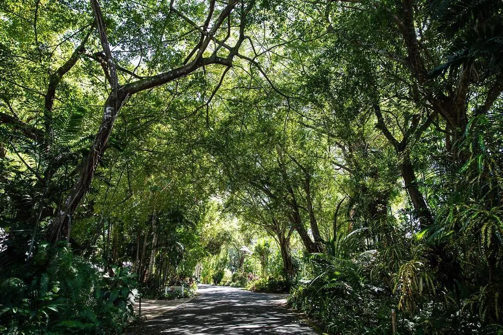 Port Douglas Mirage Villa 433 - Beachfront 0*, Port Douglas